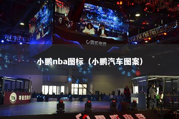 小鵬nba圖標（小鵬汽車圖案）