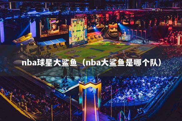 nba球星大鯊魚（nba大鯊魚是哪個(gè)隊(duì)）