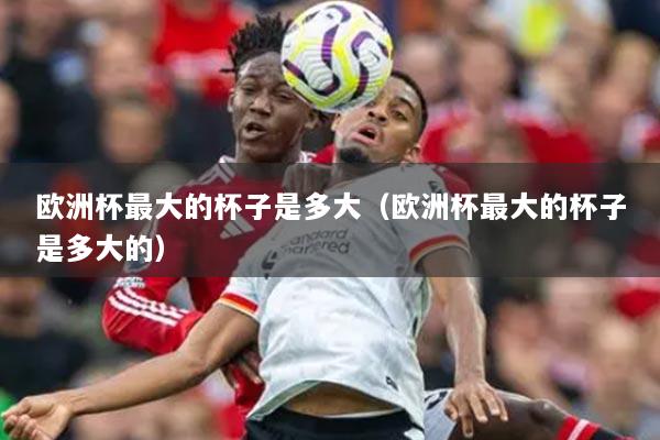 歐洲杯最大的杯子是多大（歐洲杯最大的杯子是多大的）