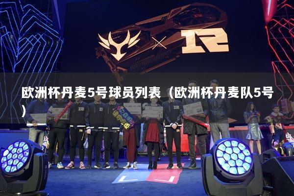 歐洲杯丹麥5號球員列表（歐洲杯丹麥隊(duì)5號）