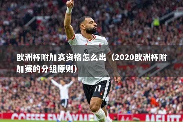 歐洲杯附加賽資格怎么出（2020歐洲杯附加賽的分組原則）