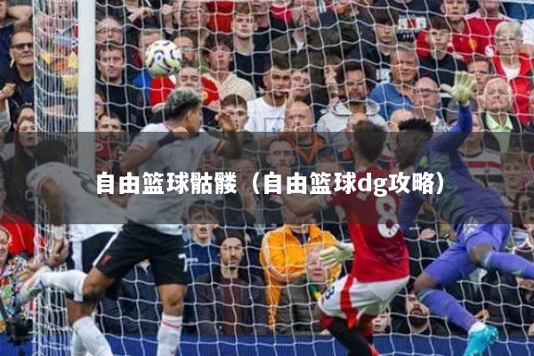 自由籃球骷髏（自由籃球dg攻略）