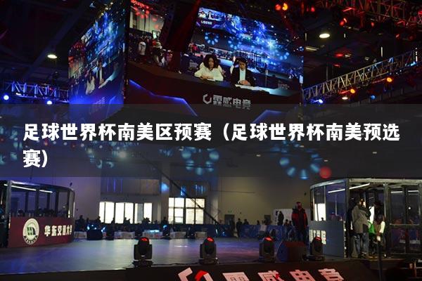 足球世界杯南美區(qū)預(yù)賽（足球世界杯南美預(yù)選賽）