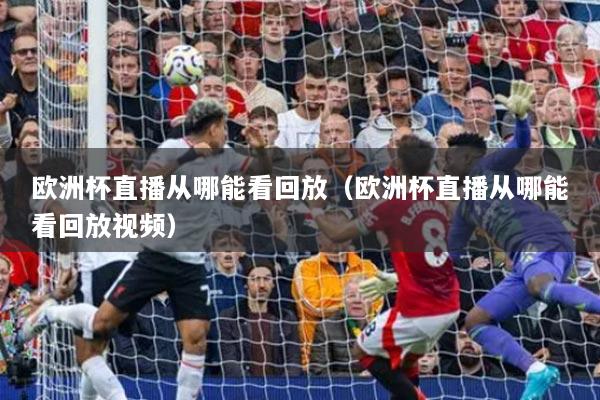 歐洲杯直播從哪能看回放（歐洲杯直播從哪能看回放視頻）