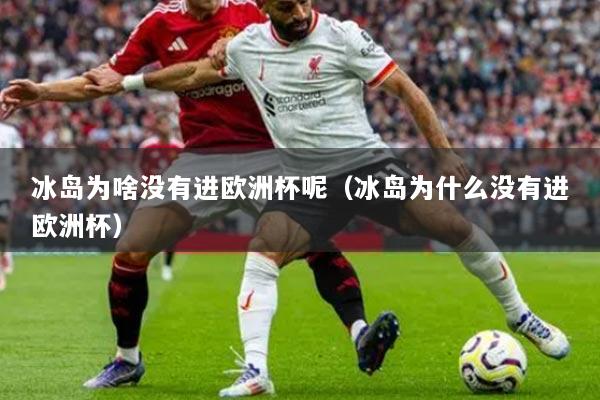 冰島為啥沒有進(jìn)歐洲杯呢（冰島為什么沒有進(jìn)歐洲杯）