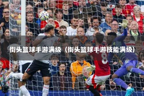 街頭籃球手游滿級（街頭籃球手游技能滿級）