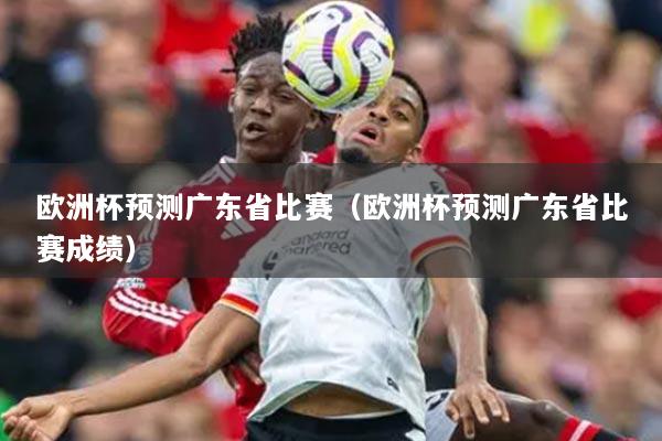 歐洲杯預(yù)測(cè)廣東省比賽（歐洲杯預(yù)測(cè)廣東省比賽成績(jī)）