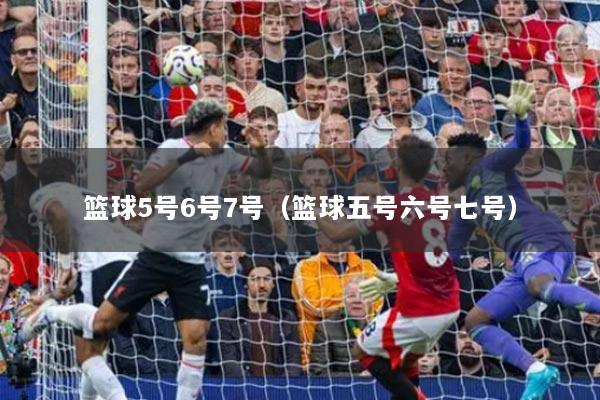 籃球5號(hào)6號(hào)7號(hào)（籃球五號(hào)六號(hào)七號(hào)）