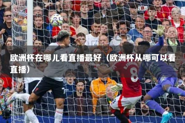 歐洲杯在哪兒看直播最好（歐洲杯從哪可以看直播）