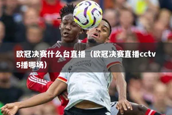 歐冠決賽什么臺(tái)直播（歐冠決賽直播cctv5播哪場(chǎng)）