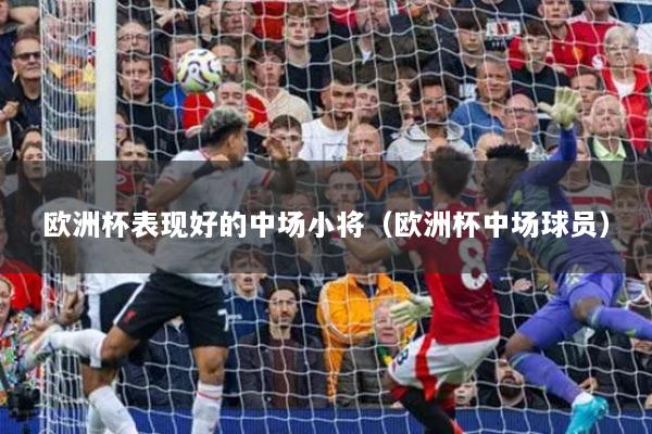 歐洲杯表現(xiàn)好的中場(chǎng)小將（歐洲杯中場(chǎng)球員）