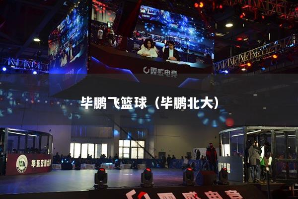 畢鵬飛籃球（畢鵬北大）