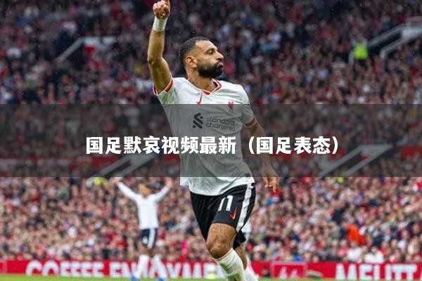 國(guó)足默哀視頻最新（國(guó)足表態(tài)）