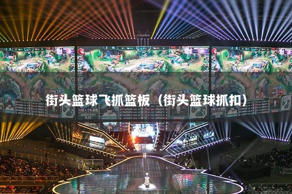 街頭籃球飛抓籃板（街頭籃球抓扣）
