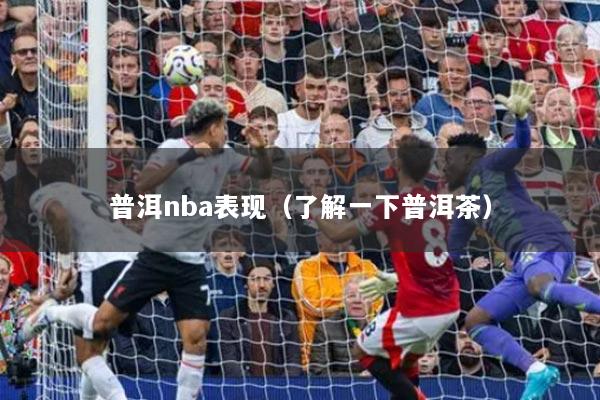 普洱nba表現(xiàn)（了解一下普洱茶）