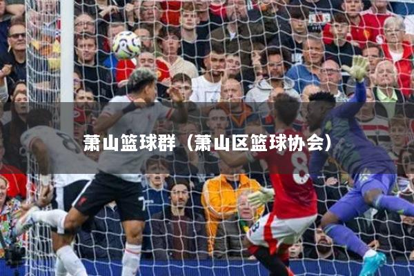 蕭山籃球群（蕭山區(qū)籃球協(xié)會(huì)）