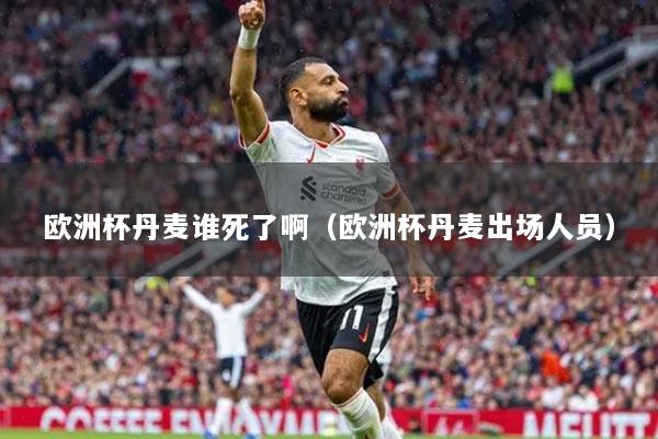 歐洲杯丹麥誰死了?。W洲杯丹麥出場人員）