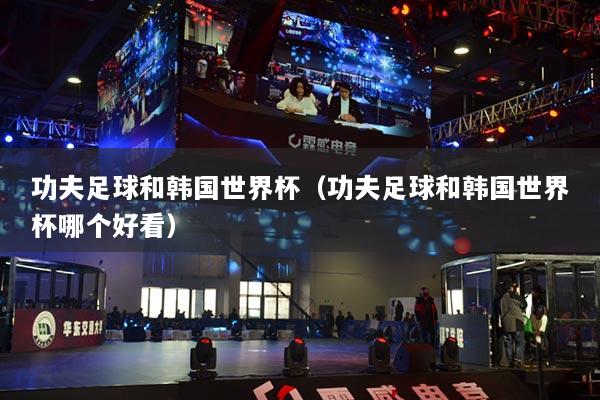 功夫足球和韓國世界杯（功夫足球和韓國世界杯哪個(gè)好看）