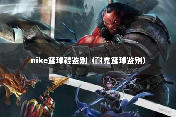 nike籃球鞋鑒別（耐克籃球鑒別）