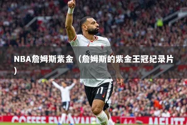 NBA詹姆斯紫金（詹姆斯的紫金王冠紀(jì)錄片）