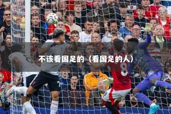 不該看國(guó)足的（看國(guó)足的人）