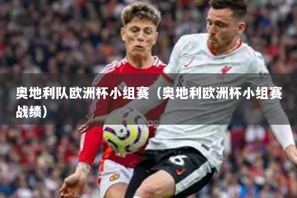 奧地利隊(duì)歐洲杯小組賽（奧地利歐洲杯小組賽戰(zhàn)績）