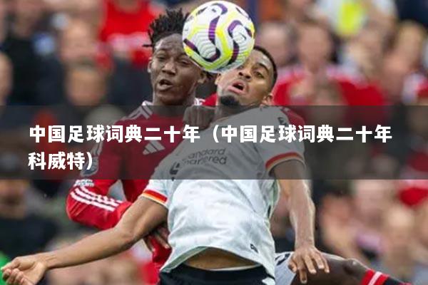 中國足球詞典二十年（中國足球詞典二十年 科威特）