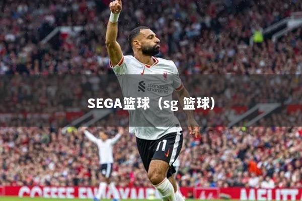 SEGA籃球（sg 籃球）