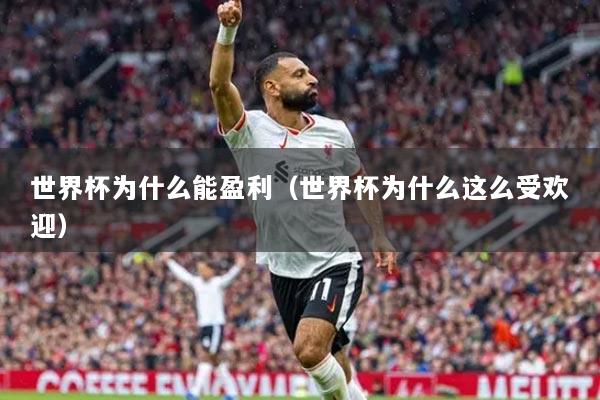 世界杯為什么能盈利（世界杯為什么這么受歡迎）