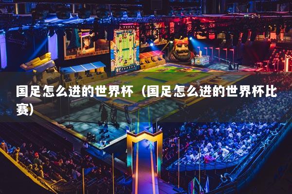 國足怎么進的世界杯（國足怎么進的世界杯比賽）