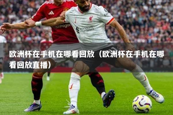 歐洲杯在手機在哪看回放（歐洲杯在手機在哪看回放直播）