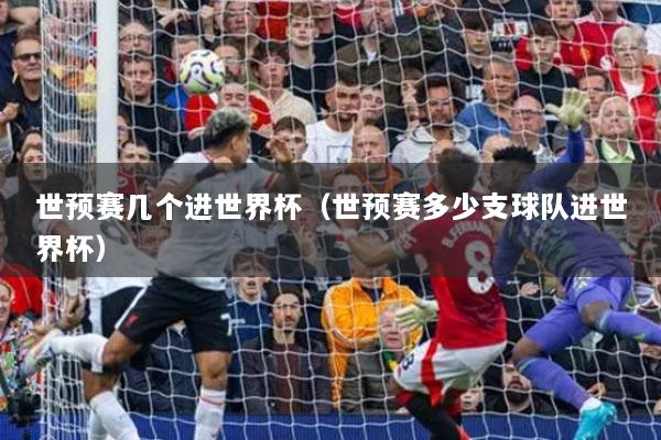 世預(yù)賽幾個進世界杯（世預(yù)賽多少支球隊進世界杯）