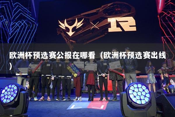 歐洲杯預(yù)選賽公報(bào)在哪看（歐洲杯預(yù)選賽出線）