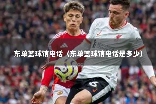 東單籃球館電話（東單籃球館電話是多少）