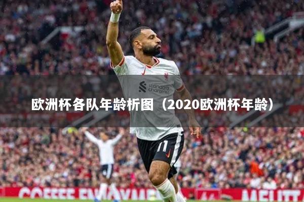 歐洲杯各隊(duì)年齡析圖（2020歐洲杯年齡）