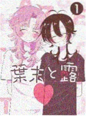 SM小说新书《薄暮手记》封面